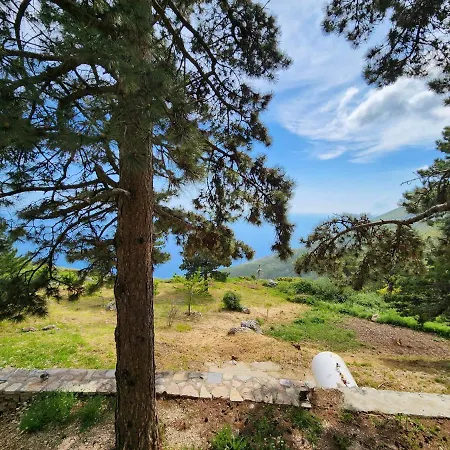 Llogora Dervishaliu 호텔