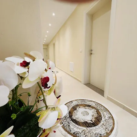 Llogora Dervishaliu Llogara National Park