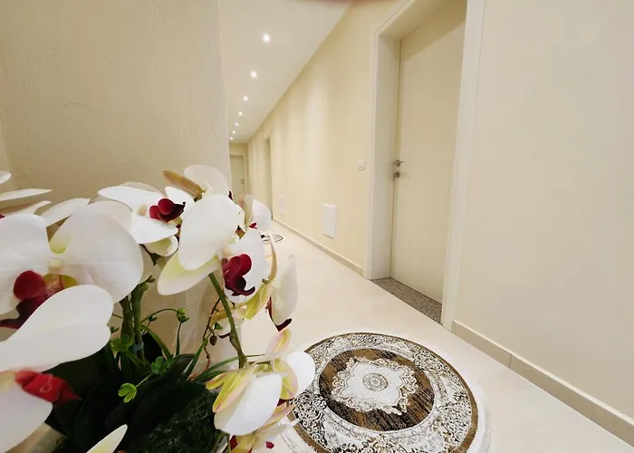 Llogora Dervishaliu Llogara National Park